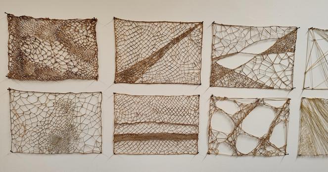 Photo d'oeuvres de Marinette Cueco exposées à la Papeterie d'Uzerche en 2025 : 8 entrelacs de divers végétaux qui font comme des dentelles sur le mur.