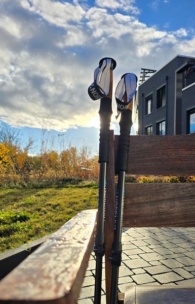 Zwei Nordic-Walking-Stöcke lehnen an einer nassen Holzbank im Sonnenlicht. Im Hintergrund sind herbstliche Bäume, Kopfsteinpflaster und ein modernes Gebäude unter einem teils wolkigen blauen Himmel zu sehen.