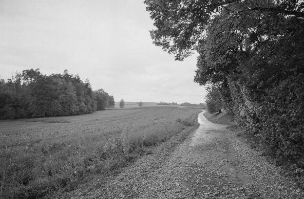 Beim Bauern der Blick