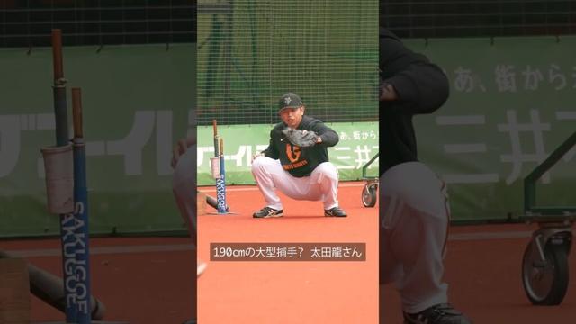 【巨人】190cmの大型捕手?太田龍さん #shorts #baseball #sports #ジャイアンツ #巨人 #プロ野球