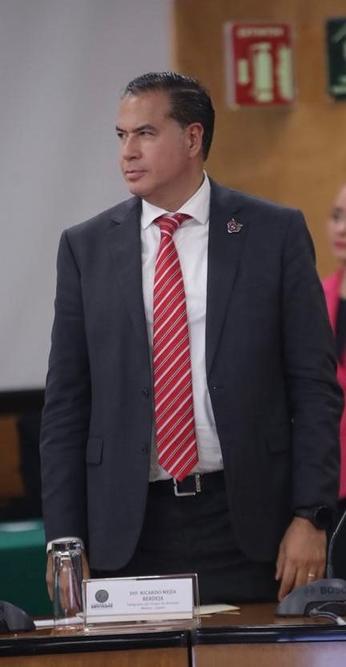 Ricardo Mejia Berdeja