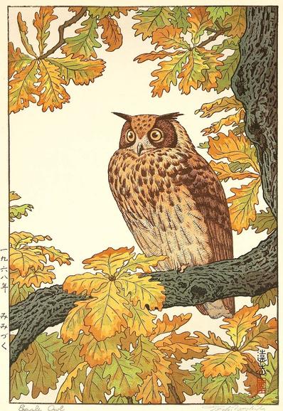 An owl sits on a branch in a tree surrounded by autumn leaves.
