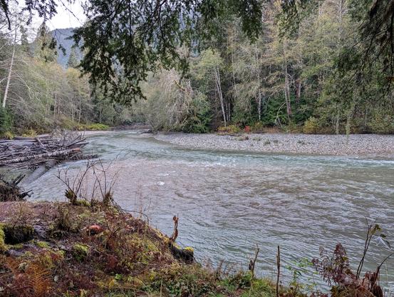 A shot of the Nooksack river in the north Cascades, a glacier carved riverbed, plenty of rock and open riverbed still visible, as it's early in the water season

Trees are visible on the far bank