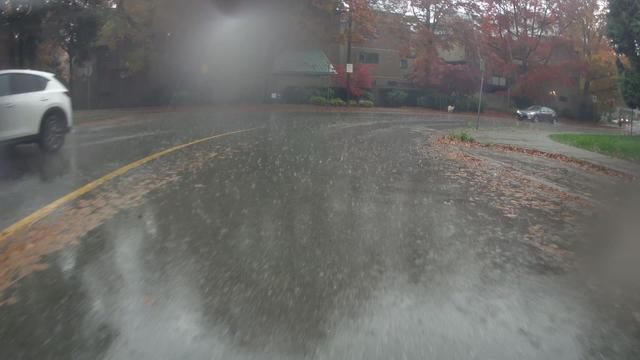 A photo from a bike cam in south False creek. There are low-rise buildings, and fall-coloured trees actively shedding their leaves. There is water pooling on the road, and rain bouncing off it.
