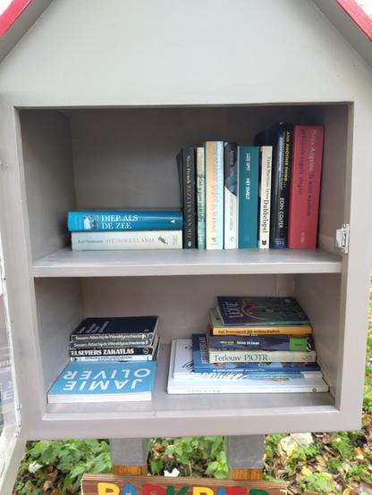 Alt2: Inhoud van de Parkbieb dd 25 oktober 2025. Bovenste plank fictie, onderste nonfictie en jeugdboeken.
