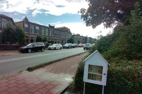 Witte minibieb met puntdak aan een asfaltweg met fietspad ernaast. De minibieb staat voor een heg. Aan de overkant van de straat staan auto's geparkeerd, daarachter staat een rijtje huizen.