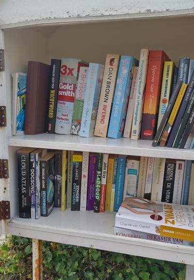 Inhoud van de minibieb: twee planken met boeken.