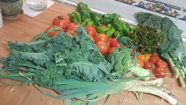 Contenido de la cesta de la semana sobre una encimera de cocina.
En primer plano, puerros, kale y un brócoli pequeño.
Detrás, dos hileras de tomates. Y al fondo pimientos, una lechuga pequeña y hojas de berza asa de cántaro.