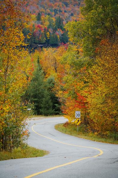 Curving road surrounded by vibrant autumn foliage and a speed limit sign indicating 30.