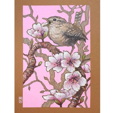 A small colour drawing of a little wren singing among the cherry blossom. The drawing shows the little brown bird sitting on a branch. The drawing has a bright pink background.
The Wren is a tiny brown bird, it's almost round in shape with a fine bill, quite long legs and toes, very short round wings and a short, narrow tail, which is sometimes stuck up vertically.
An original art work, please note that the frame is not included.
Colour pencil and mixed media on acid free toned artist paper
5 by 7 inches (12.7 by 17.8 cm).