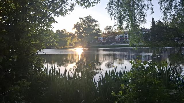 Sonnenuntergang am Lago