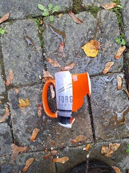 The image shows a white mug with an orange handle and rim, sitting on a wet, textured surface resembling cobblestone or pavement. Inside the mug, there appears to be a dark liquid, possibly coffee or tea. The mug has a vertically oriented design on its side, reading "FORG" in large, bold, sans-serif font. Wet leaves and small green plants are scattered around the mug on the surface, indicating a damp environment. The image is brightly lit, and the mug is positioned slightly off-center in the frame.