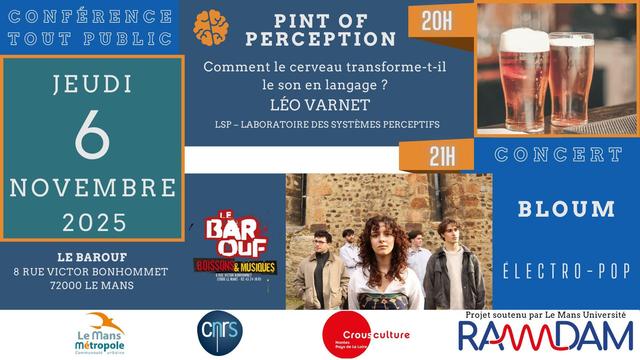 Affiche de l'événement : 6 novembre 2025 au Barouf (8 rue Victor Bonhommet au Mans). 20h: Léo Varnet, pint of perception, "Comment le cerveau transforme-t-il le son en langage ?". 21h: concert électro pop du groupe Bloum.