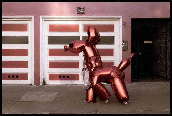 A Halloween trick-or-treater walks down the sidewalk, strolling past a red house with two garage doors. The trick-or-treater is wearing a red Jeff Koons Balloon Dog costume. Head and tail held high, he is scoping out the neighborhood, looking for treats.