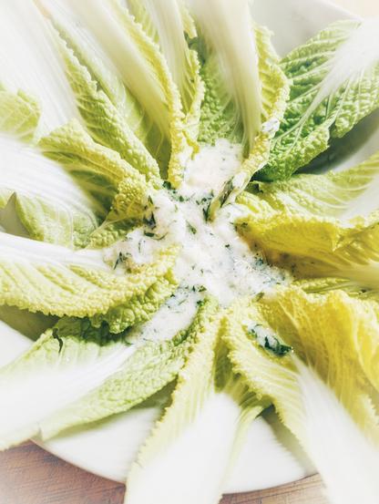 Teller mit frisch angerichtetem Chinakohl in Radform, garniert mit einem cremigen Zwiebel-Joghurt-Dressing. Foto by Johann Seidl, Gartenpoet.