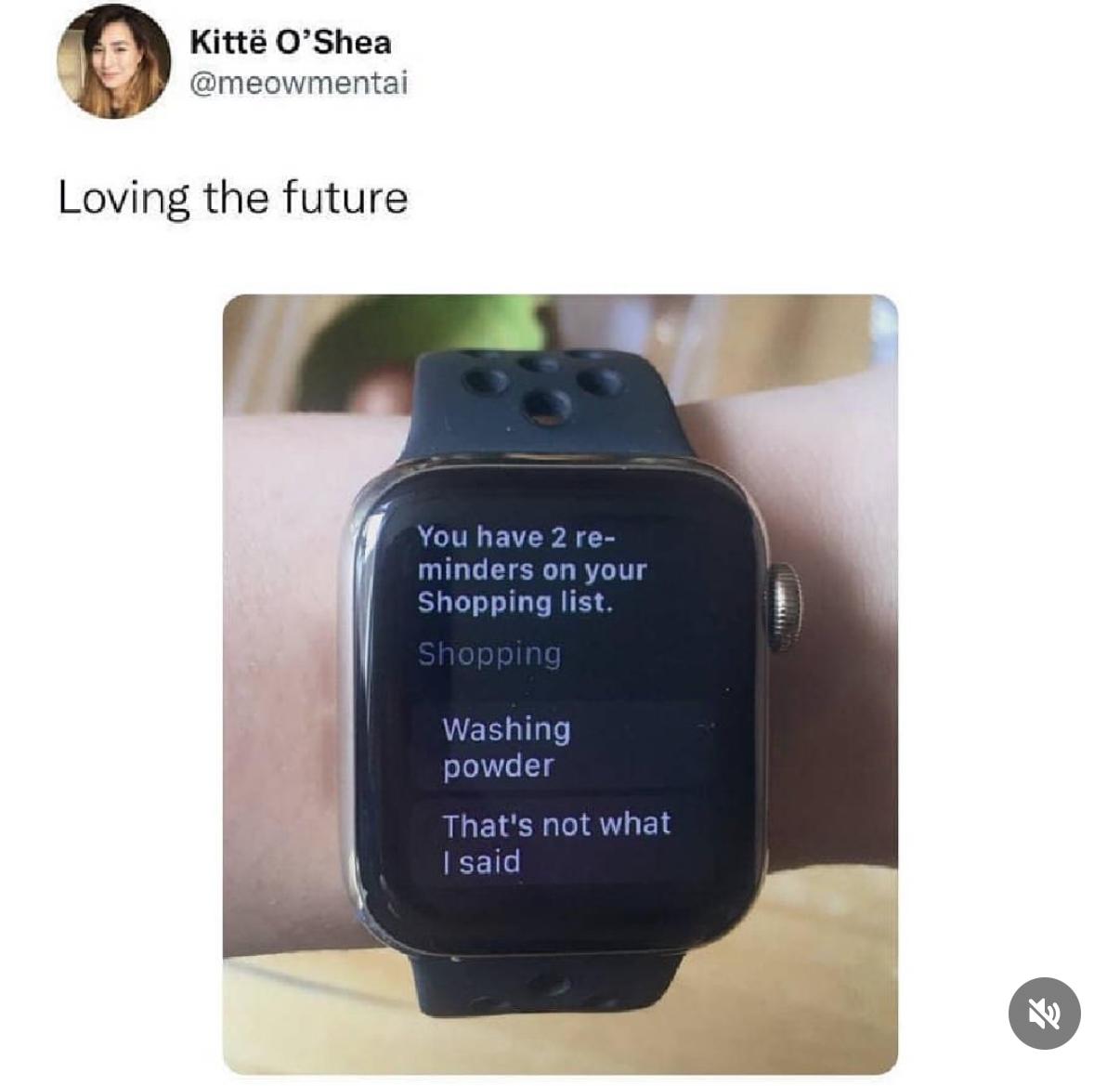 Tweet from @meowmental titled "loving the future" showing a smart watch. The watch displays "You have 2 reminders on your shopping list: washing powder, and that's not what I said."