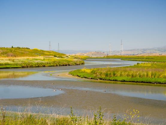A shallow muddy river winds through a wetland that has some yellow mustard flowers, leading to dry and hazy hills and power lines in the distance.