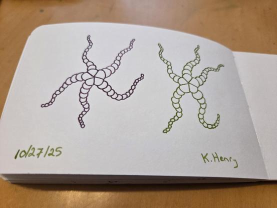 Hand drawn generative/procedural art in ink on an open page of my sketchbook. The abstract pattern looks a bit like two starfish dancing with glee.