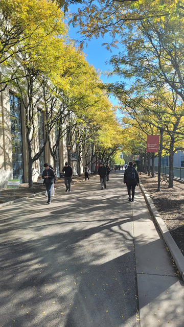 The image depicts a tree-lined pathway on a college campus. The path is paved with concrete and is flanked by tall trees with yellow and green foliage. Several individuals are walking along the path, some are carrying backpacks. Buildings are visible on the left side of the pathway and on the right, partially obscured by the trees. A sign is visible on the right, reading "Carnegie Mellon University" The sky is bright and clear. The perspective is eye-level, giving a sense of walking along the path.