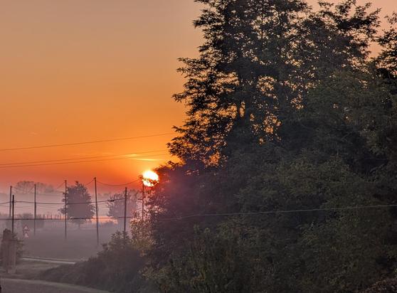A Misty sunrise, as it appears from my window