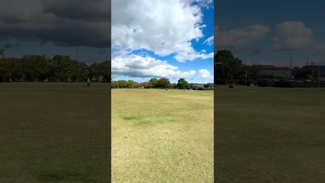 宝塚市 末広中央公園、秋