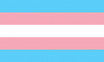 trans flag