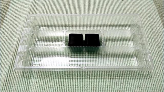 In einem Plastiktray liegen mittig zwei einzelne Domino-Steine. In der Packung ist Platz für 20 Steine.