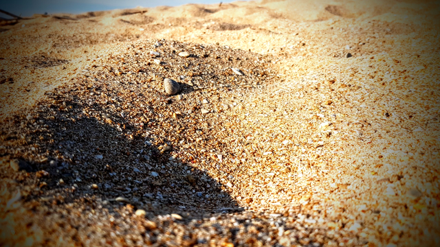 Ein Sandstrand in Nahaufnahme...