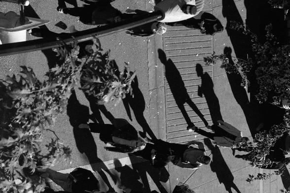 The shadows of pedestrians navigate a boulevard.