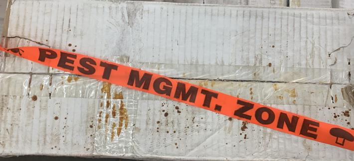 Bright orange survey tape with bold black upper case lettering stating PEST MGMT. ZONE, surrounded by an image of a beetle and a mushroom on either side of each block of text.
