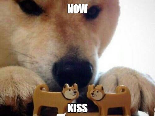 Ah yes. I wish it was a cat meme tho https://ibb.co/3PW0xFr
https://i.ibb.co/K879ts0/images.jpg