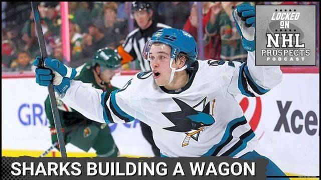 IS MACKLIN CELEBRINI A SUPERSTAR? | San Jose Sharks Updates