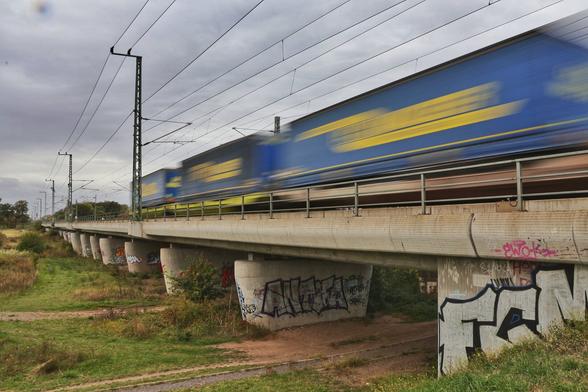 A motion-blurred freight train, painted in blue and yellow, speeds across an elevated concrete railway bridge covered in graffiti. The bridge spans over a grassy area with patches of dirt and vegetation. Overhead electric train lines and poles are visible against a cloudy sky, creating a dynamic contrast between the moving train and the static surroundings.