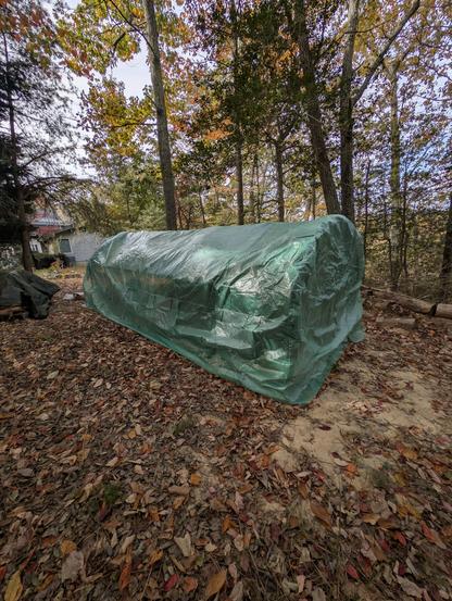 Greenhouse/chicken run combo from the back side