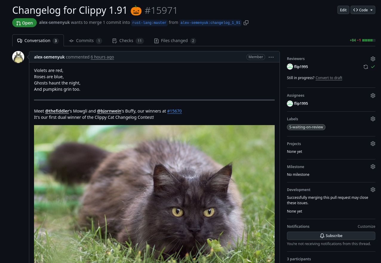 Screenshot of the changelog pull request, with an image of a cat embedded in the description.