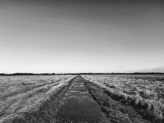Ein teilweise mit Pfützen bedeckter langer schmaler Sand- und Schotterweg verläuft von vorne mittig bis nach hinten zur feinen schwarzen Horizontlinie durch eine flache Salzwiese und trennt diese in zwei Hälften. Der Himmel befindet sich als nahezu wolkenlose hellgraue Fläche im oberen Teil des Schwarzweiß-Bildes.
A long, narrow sand and gravel path, partially covered with puddles, runs from the centre of the foreground to the fine black horizon line in the background through a flat salt marsh, dividing it into two halves. The sky is an almost cloudless light grey area in the upper part of the black-and-white image.