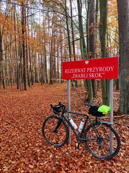 Rower szutrowy oparty o tablice z napisem "Rezerwat przyrody 'Diabli skok'". Cały teren dookoła jest przykryty pomarańczowymi liśćmi.