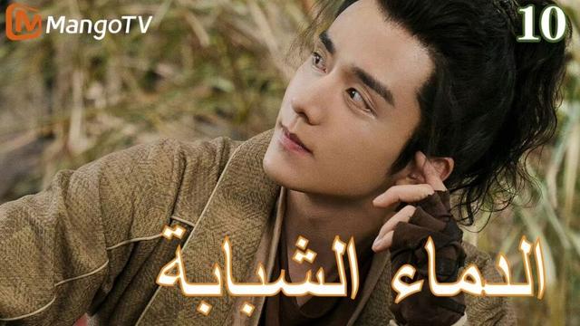 【ترجمة عربية】الدماء الشبابة | Young blood 2 EP10 | MangoTV Arabic