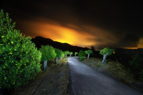 Ein schmaler, betonierter Weg führt geradeaus in die Ferne. Beidseitig stehen gleichmässig angepflanzte Olivenbäume, die im Dunkeln künstlich beleuchtet sind. Der Himmel ist dunkel mit einem intensiven, orange-gelben Leuchten am Horizont, vermutlich infolge Lichtverschmutzung einer Stadt. Im Hintergrund erheben sich dunkle Berge, die sich als Silhouetten abzeichnen.
