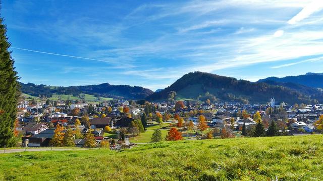 Im Vordergrund Wiese dahinter eine Ortschaft mit Häusern,Bäumen,weiter hinten bewaldete Berge.