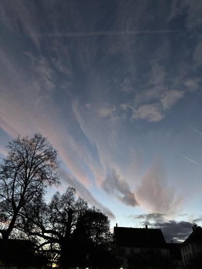 Abendlich beleuchtete Wolken über kahlen Bäumen