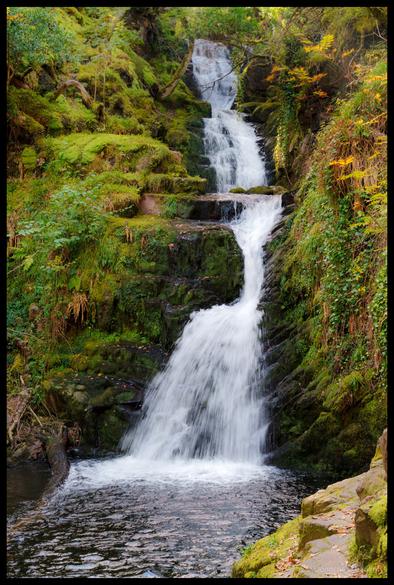 O'Sullivan's Cascade waterfall flowing down moss-covered rocks in multiple tiers through lush green vegetation with ferns and autumn foliage, cascading into the Lakes of Killarney in County Kerry, Ireland.
