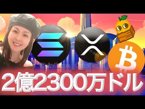 XRPファンド立ち上げ上昇の兆候 ビットコイン底値のサイン JPYCで便利になる