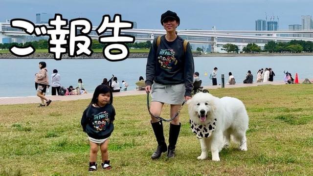 【お知らせ】この度、シュシュ家は別居することになりました｜グレートピレニーズ&オールドイングリッシュシープドッグ&トイプードル