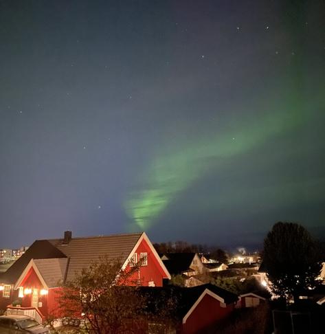 A peaceful night scene shows the green Northern Lights glowing across a starry sky. Below, a red house with white trim is warmly lit, surrounded by trees and other buildings. The image blends quiet human life with a stunning natural light show.