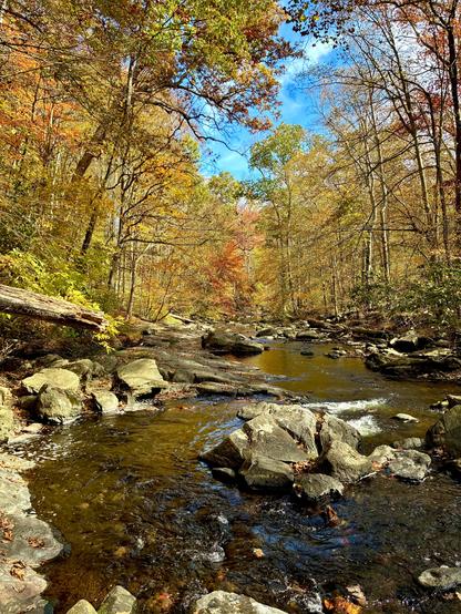 A view of a swift creek cascading over a rocky bed, running through an autumn-colored forest on a sunny day with some clouds. The sky is narrowly open between the trees with orange and golden-yellow leaves.