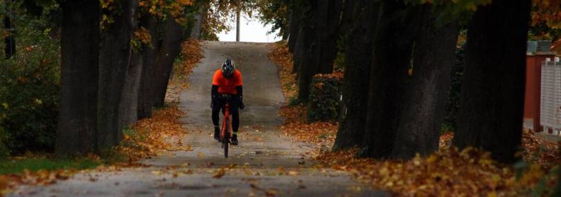 1200-unsplash.bike-autumn-shitty-pics-446447-unsplash.jpg