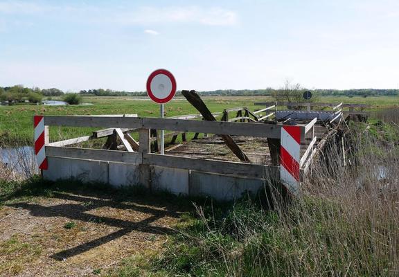 Straßenschild mit rotem Rand auf Feldweg, dahinter flaches, grünes Wiesenland.