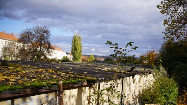 Blick über Teerpappen-Garagendächer mit Löchern und Moos, dahinter Mehrfamilienhäuser und Bäume