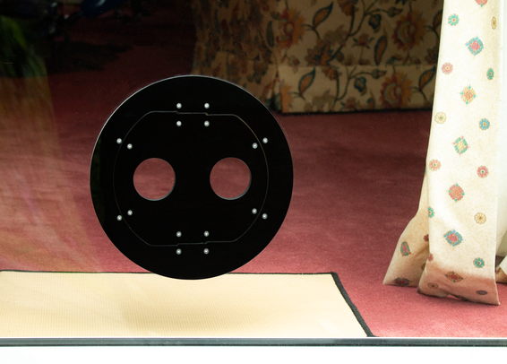 Black draughtproof pet door set into glass, viewed from outdoors